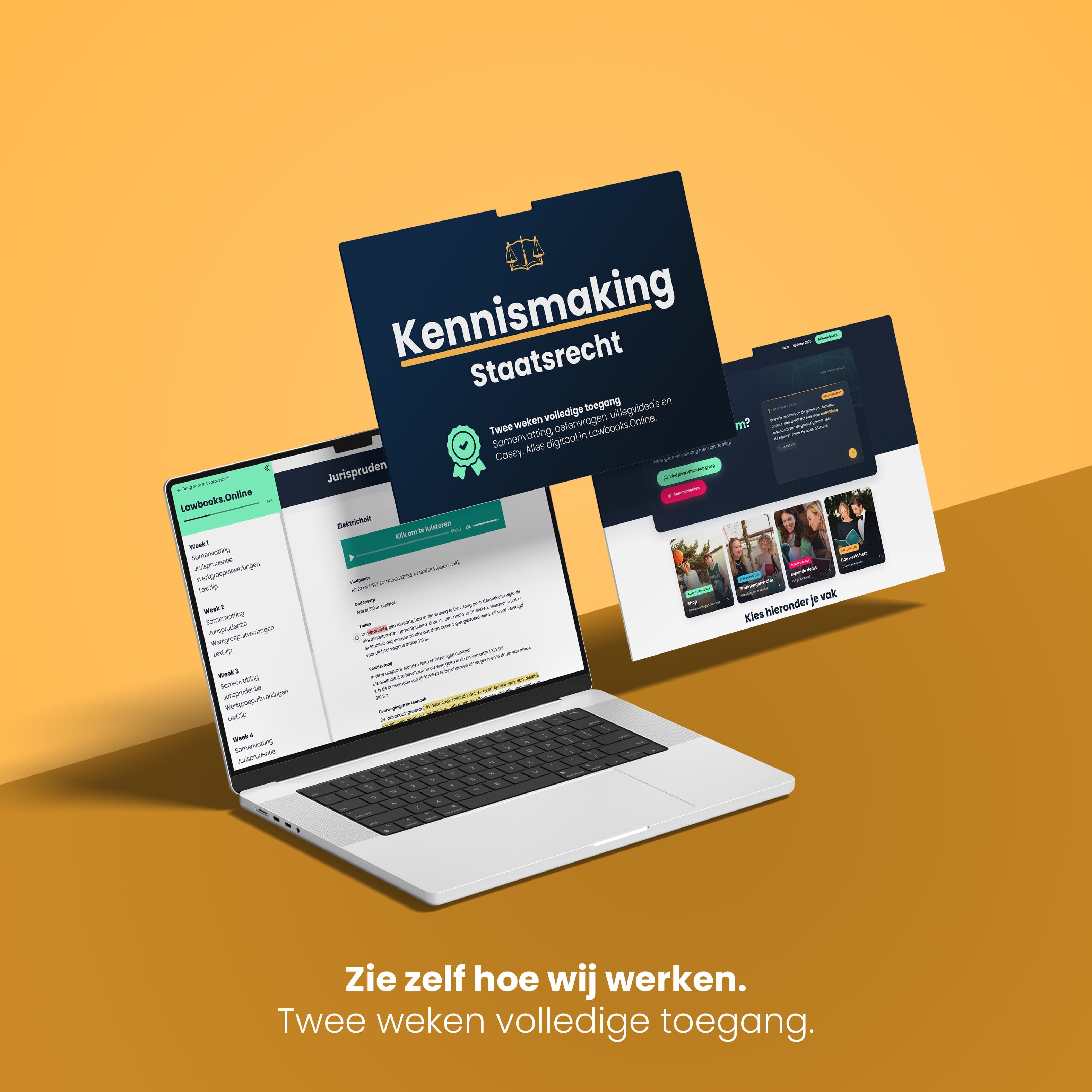 De Kennismaking: Staatsrecht (EUR)